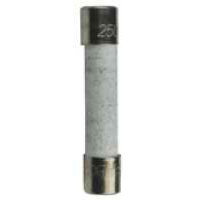 14QBP15CSB 15 Amp Microwave Fuse Slo-Blo