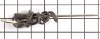 DE81-10136A Dacor Oven Meat Probe 62713